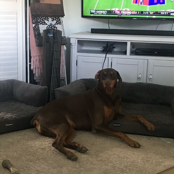 Meet your Posher, Sheri - Picture 2 of 6